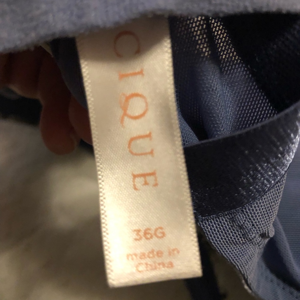 Lane Bryant Bras